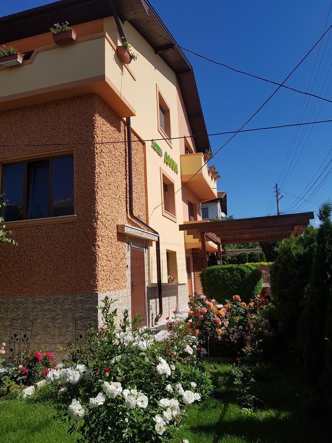 Family Hotel Dalia Velingrad Ngoại thất bức ảnh